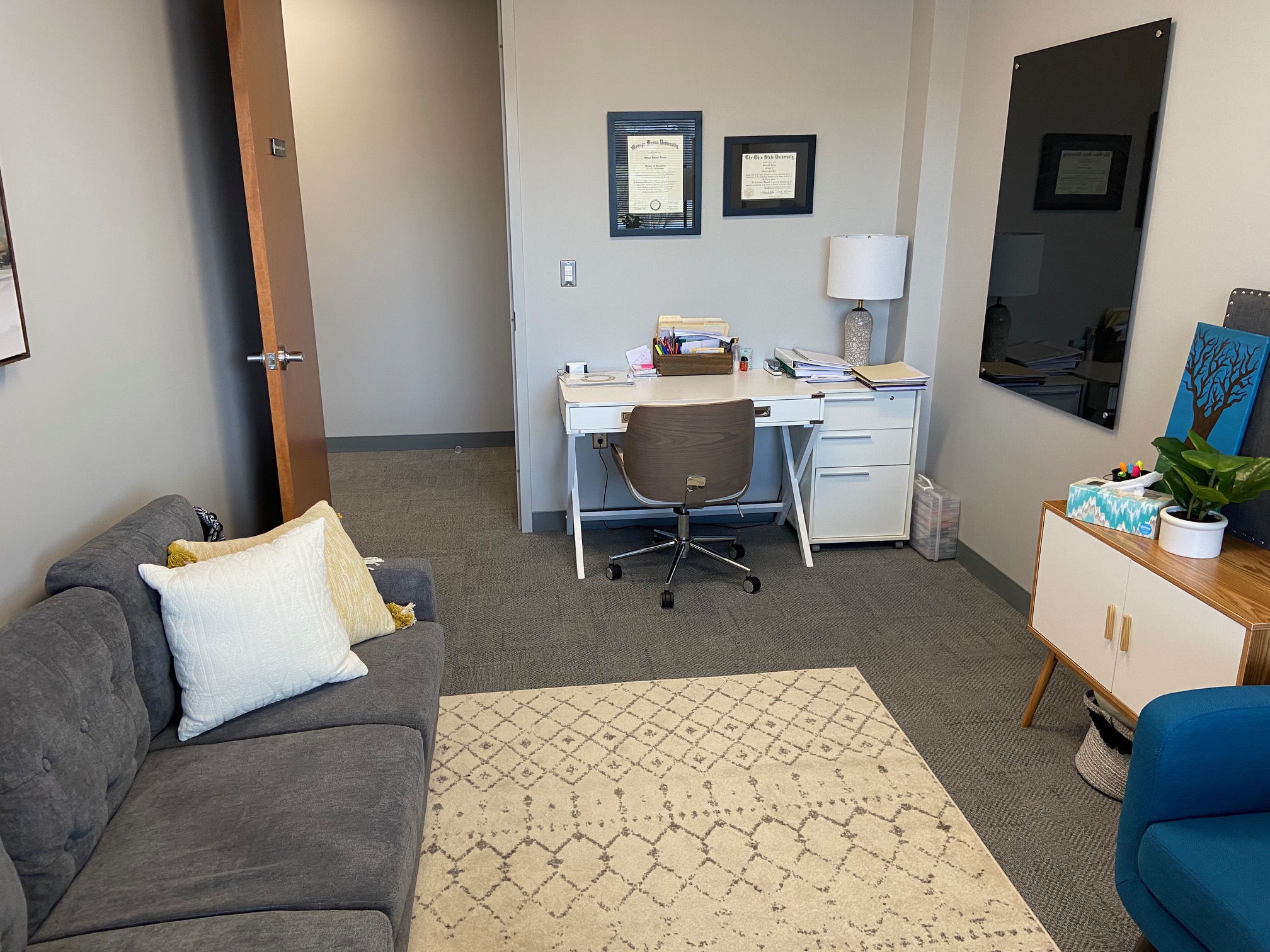 NoVA Office Room